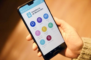 Nuevo portal de datos de la IM