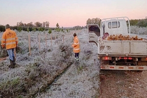 Ola de frío afecta el país