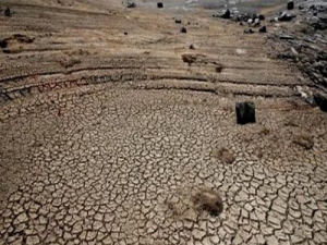 Temperaturas récord y anómalas, sequías e incendios