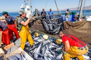 Pesca sin resultados y &quot;desplante&quot; patronal