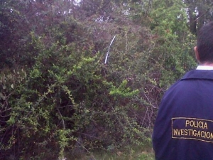 Hallan dos cuerpos en Puntas de Manga