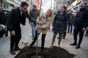 Más árboles en el Centro