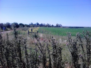 Subsidio y exoneraciones en el Montevideo rural