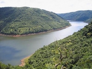 Buscan a niño desaparecido en el río Negro
