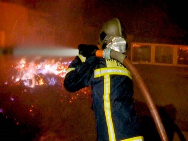 Chile: Incendio intencional en La Araucanía
