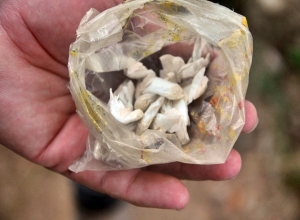 Pocitos: delincuentes venden droga a toda hora