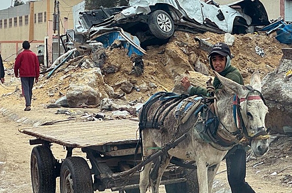Exigen entrada de ayuda en Gaza