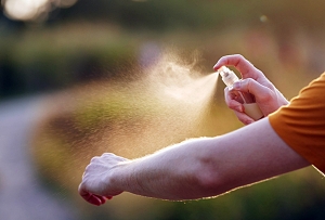 Dengue: repelentes duplican su venta en Argentina y Uruguay