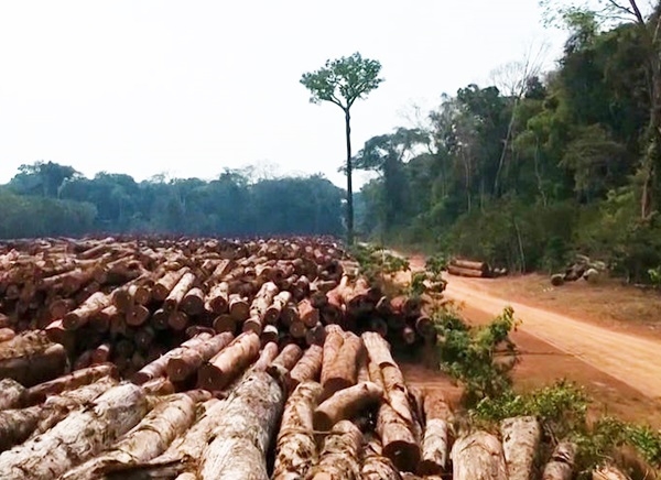 Brasil suspende permisos para explorar oro