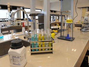 Científicos del mundo exigen la continuidad del Conicet