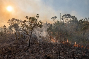 Brasil sufre terrorismo climático