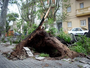 Desplazados por las tormentas