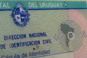 Policía incautó 800 cédulas en una casa