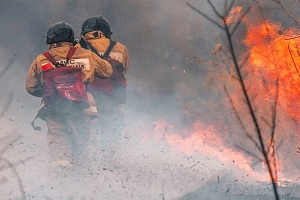 Los incendios forestales empeoran el aire y los ecosistemas