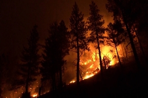 EE.UU: Ola de calor provoca incendios forestales