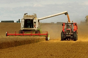 FAO: Baja el precio de alimentos