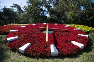 Reloj de flores en Parque Rivera