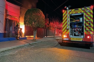 Voraz incendio en Pinamar