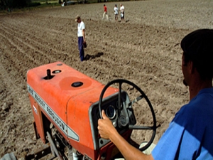 Apoyo a productores de Montevideo Rural