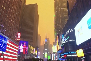 Nueva York: Miles en albergues por alto costo de alquileres