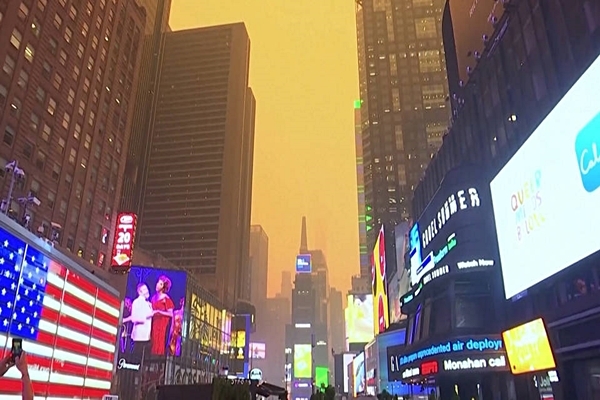 Nueva York: Miles en albergues por alto costo de alquileres