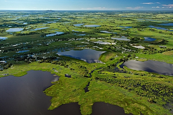 Brasil: Multa por daño ambiental en el Pantanal