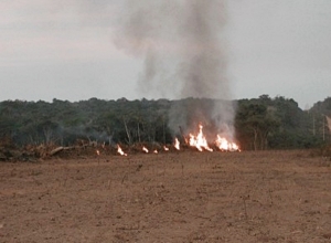 Cambio climático y los incendios forestales