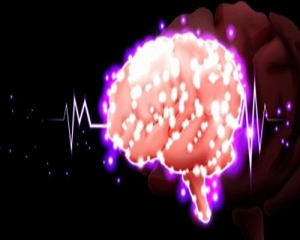 Patrones de actividad cerebral asociados al estrés
