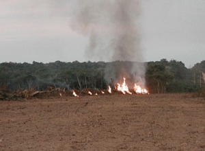 Amazonia: Las causas de los incendios
