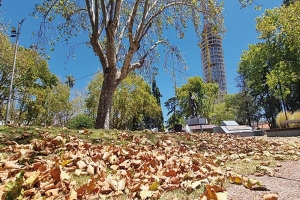 Fenómeno meteorológico: El falso otoño