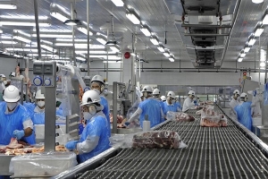 Carne bovina y equina a China