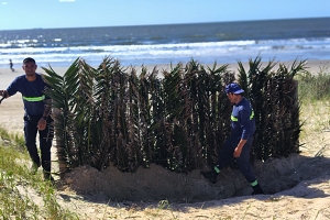 Restauración en Playas Ramírez y Pocitos