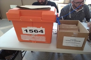 Casos en los que se anula el voto