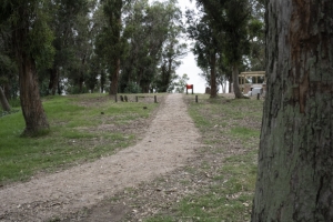 Obras en Parque Punta Espinillo