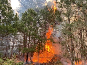 Cotrolaron incendio en Punta del Diablo