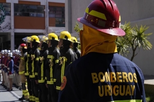 Bomberos: menor cantidad de incendios forestales