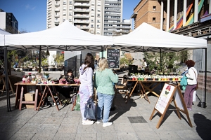 Feria Mypes en la explanada de IM