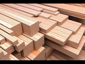 Maderera brindará 100 puestos de trabajo