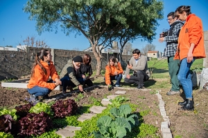 Apoyo a huertas comunitarias