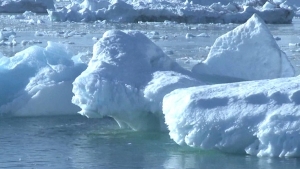 ONU: Confirma récord de calor en el Ártico de 38ºC