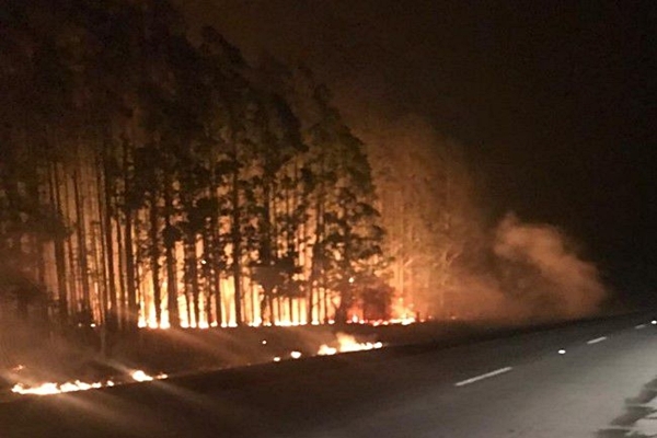 Cuatro muertos en incendio en California