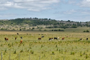 Gobierno extendió emergencia agropecuaria