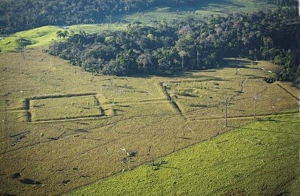 Un pasado de la Amazonia poblada