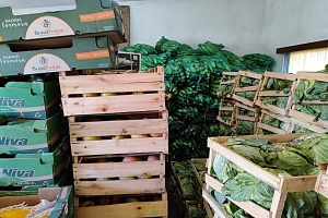 Caminera incautó 14.108 kilogramos de verduras y frutas