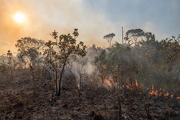 Brasil sufre terrorismo climático