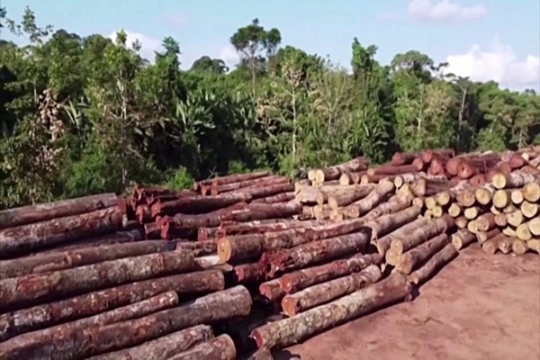 La minería aumentará la deforestación en la Amazonia