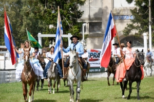 Muere un caballo en la rural