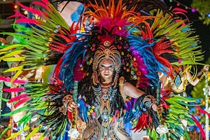 Fallos del Desfile de Escuelas de Samba