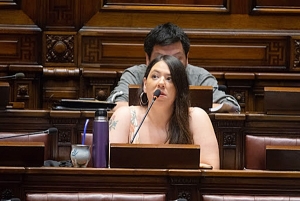 “Inconsistencias en el relato”, dijo Bettiana Díaz
