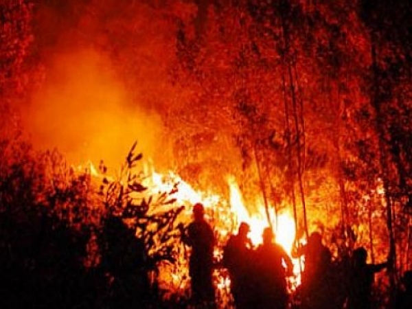 Europa se suma a combatir los incendios en Chile